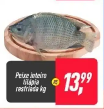 Frangolândia Peixe Inteiro Tilapia resfriada 1kg oferta