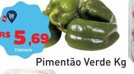 Pimentão verde kg