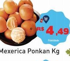 Tonin Superatacado Mexerica ponkan oferta
