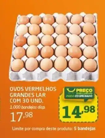 Cooper Ovos Vermelhos Grandes Lar com 30 unid. oferta