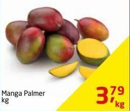 Tenda Atacado Manga palmer oferta