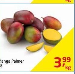 Tenda Atacado Manga palmer kg oferta