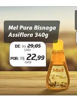 Mel pura bisnaga assiflora 340g