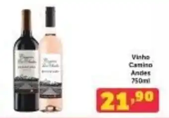 Dia Vinho Camino Andes 750ml oferta