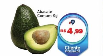 Tonin Superatacado Abacate comum kg oferta