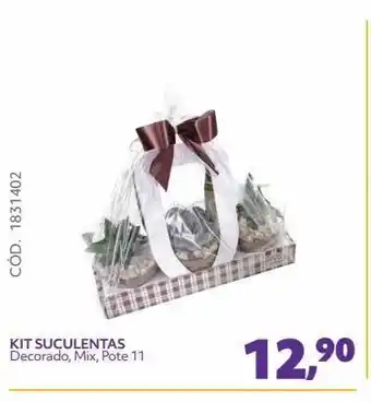 Telhanorte Kit suculentas decorado, mix, pote 11 oferta