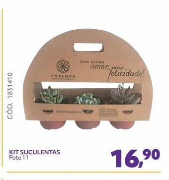 Telhanorte Kit suculentas pote 11 oferta