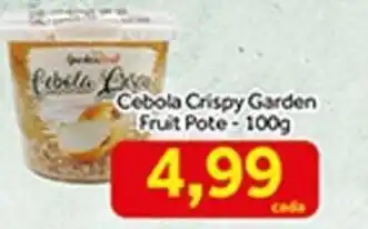 Cebola Crispy Garden Fruit Pote 100g
