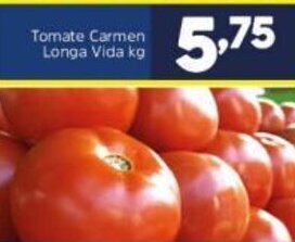 Arena Atacado Tomate Carmen Longa Vida 1kg oferta
