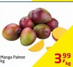 Tenda Atacado Manga palmer kg oferta