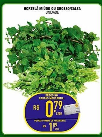 Hortelá miúdo ou grosso/salsa unidade