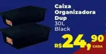 Caixa Organizador Dup 30L