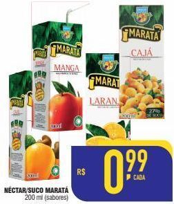 Néctar/suco maratá 200ml