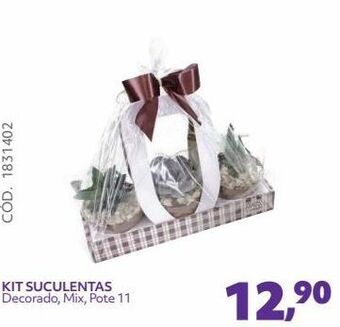 Telhanorte Kit suculentas oferta
