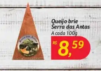 Queijo Brie Serra das Antas 100g