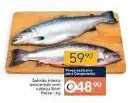 Coop Salmao Inteiro oferta
