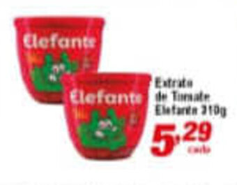 Ricoy Supermercados Extrato de Tomate Elefante 310g oferta