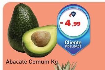 Tonin Superatacado Abacate comum kg oferta