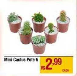 Max Atacadista Mini Cactus Pote 6 oferta