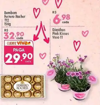 Supper Rissul Bombom Ferrero Rocher T12 Dianthus Pink Kisses Vaso 11 oferta