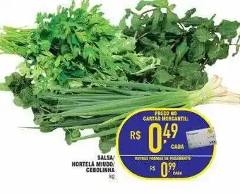 Mercantil Rodrigues Salsa Hortelã Miudo Cebolinha oferta