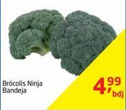 Tenda Atacado Brócolis ninja bandeja oferta