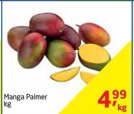 Tenda Atacado Manga palmer kg oferta