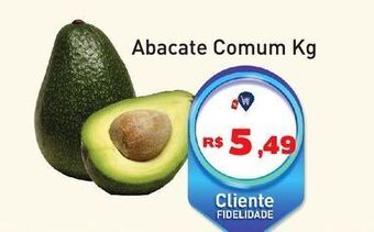 Tonin Superatacado Abacate comum kg oferta