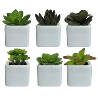 Suculenta sortida 8cm vaso flor arte