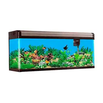 Petz Aquário boyu curvo 150 472 litros preto champagne oferta