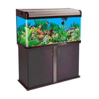 Petz Aquário boyu curvo 100 187 litros preto champagne oferta