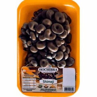 Super Nosso Cogumelo natural preto shimeji bandeja 200 g oferta
