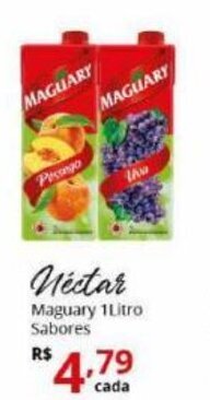 Ricoy Supermercados Nectar Maguary 1L Sabores oferta