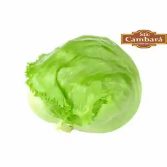 Alface americana sitio cambara organica 200g
