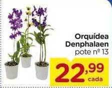 Carrefour Orquidea Denphalaen oferta