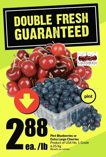 FreshCo Pint Blueberries offer