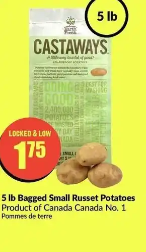 FreshCo Bagged Small Russet Potatoes offer