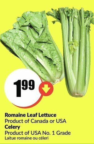FreshCo Romaine Leaf Lettuce offer