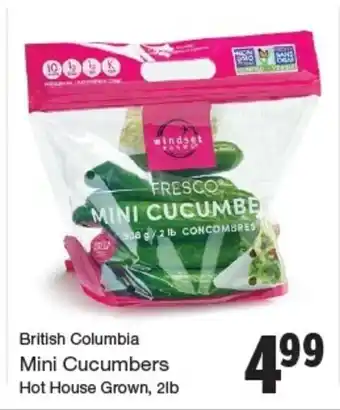 Quality Foods Mini Cucumbers offer
