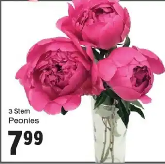 Quality Foods Peonies offer