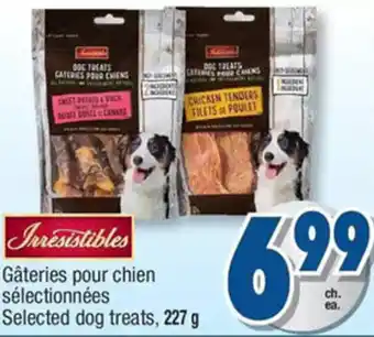 Jean Coutu Irresistibles Dog Treats, 227g offer