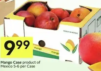 IGA Mango Case 5-6 Per Case offer