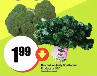 FreshCo Broccoli or Andy Boy Rapini offer