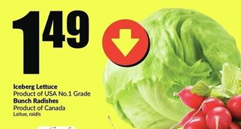 FreshCo Iceberg Lettuce offer