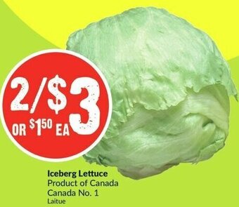 FreshCo Iceberg Lettuce offer
