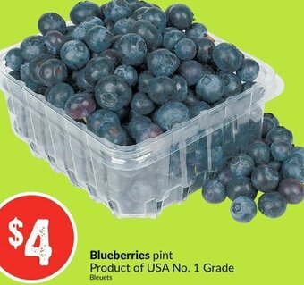 FreshCo Blueberries Pint offer