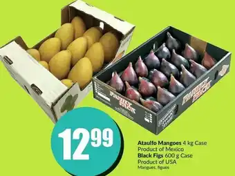 FreshCo Ataulfo Mangoes 4kg / Black Figs 600g offer