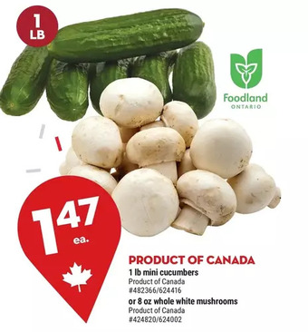 Giant Tiger 1 lb Mini Cucumbers offer