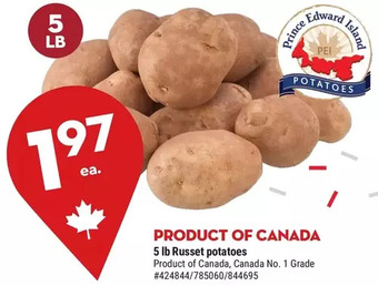 Giant Tiger 5 lb Russet Potatoes offer