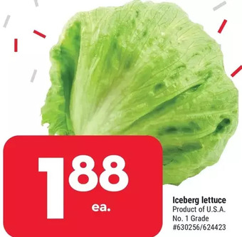Giant Tiger Iceberg Lettuce offer